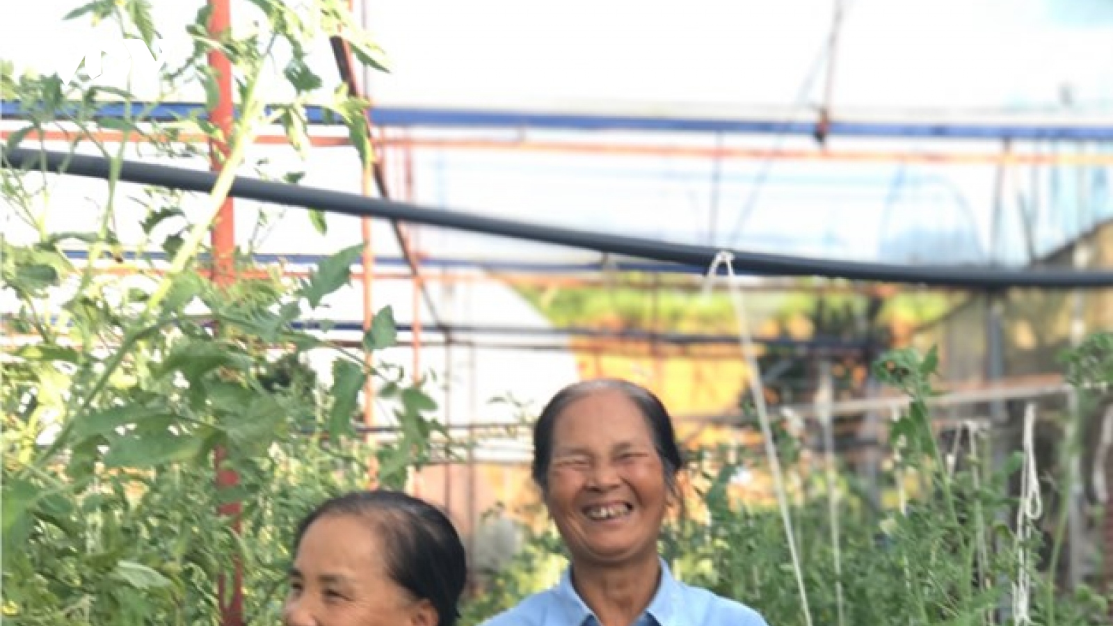 “Nữ tướng thời bình” Nguyễn Thị Luyến
